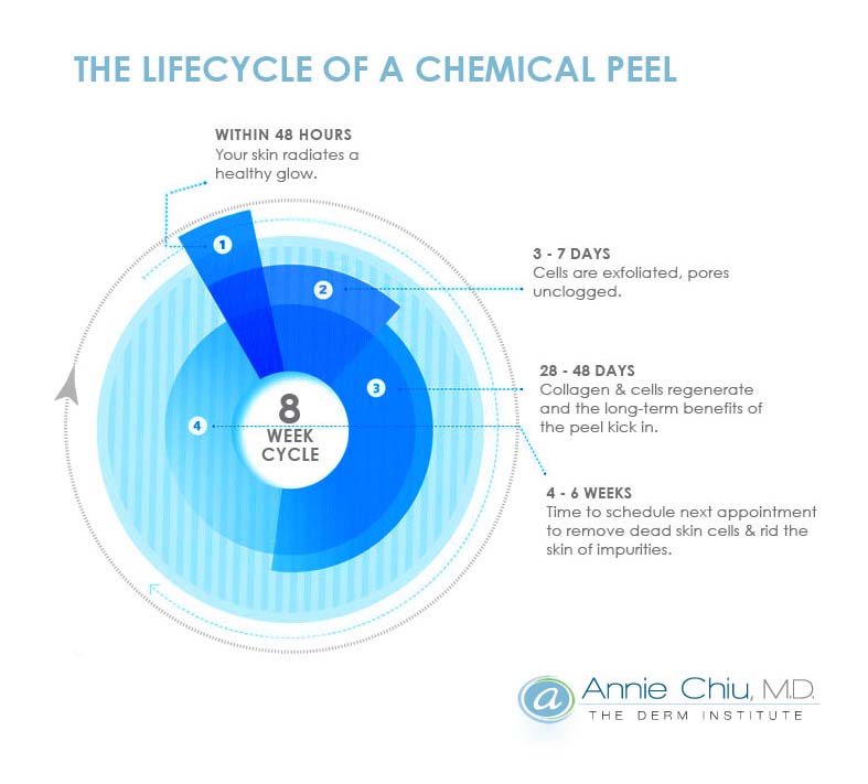 chemical-life-cycle.psd_